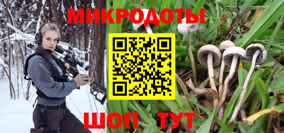 Галлюциногенные грибы Надым