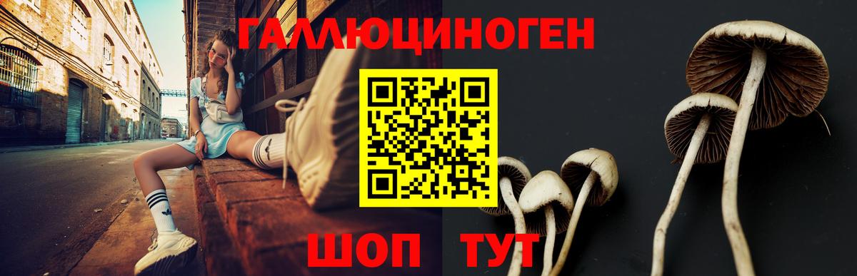 Галлюциногенные грибы GOLDEN TEACHER  Вход с VPN  Надым 