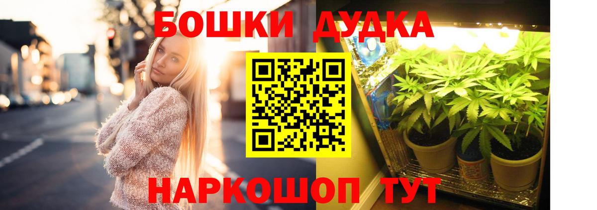 МАРИХУАНА конопля Надым